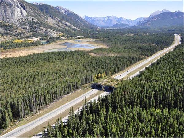 Banff National Park, Alberta - Canadá