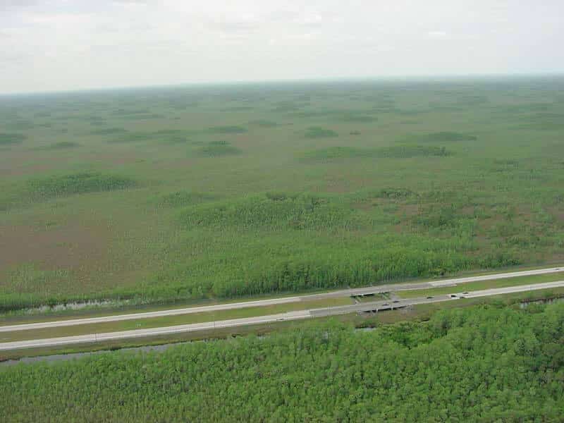 Interstate 75 - Flórida, Estados Unidos