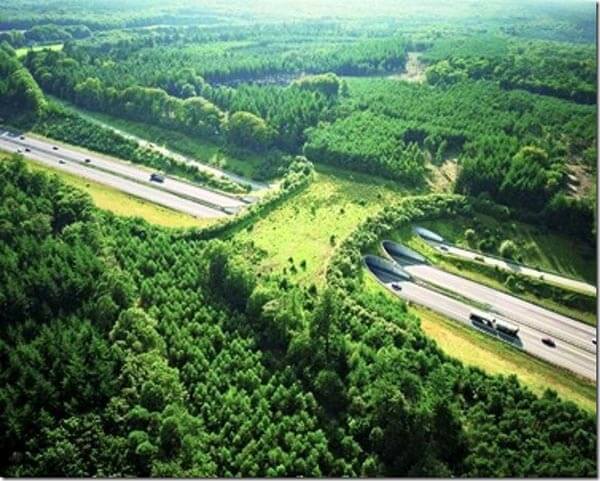 Natuurbrug Zanderij Cariloo